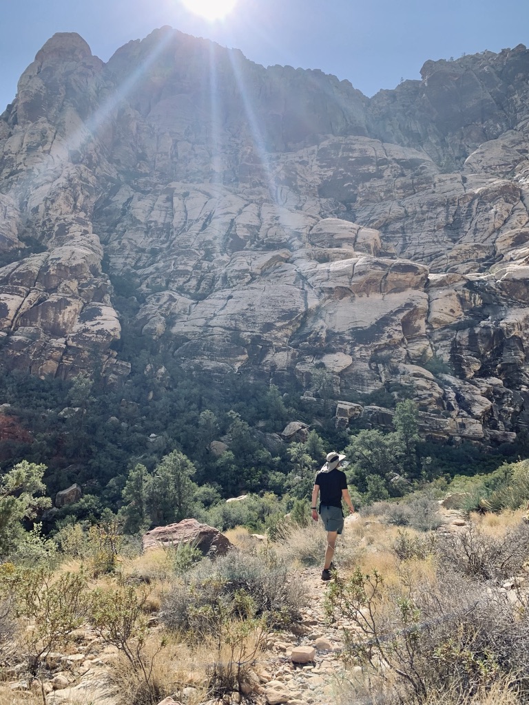 Shady Trails of Red Rock Canyon National Preserve