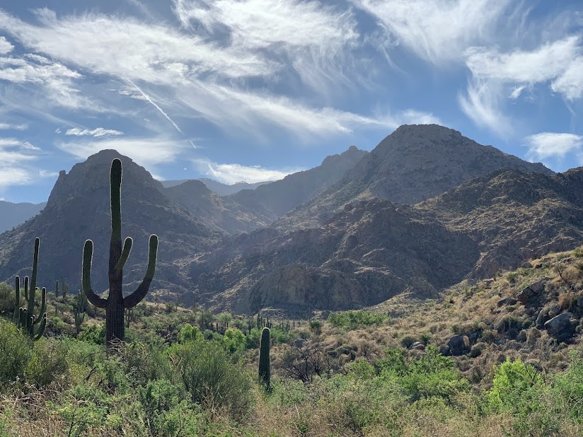 Fun Family Hike in Tucson