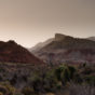 12 lessons the desert taught us in year one