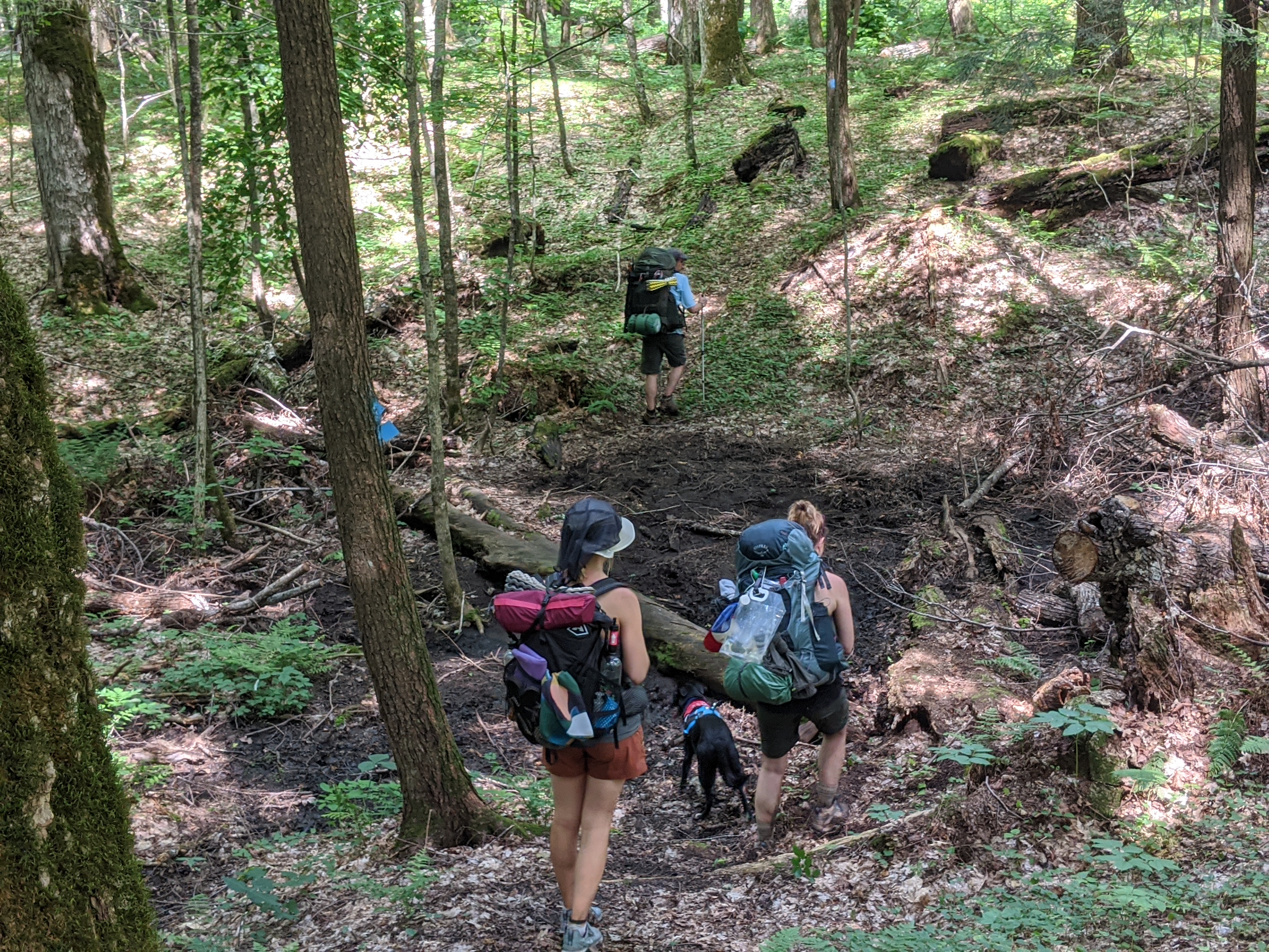 Your ultimate guide to backpacking in the Porkies ￼