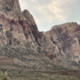 Top FREE spots to see animals/wildlife near Las Vegas