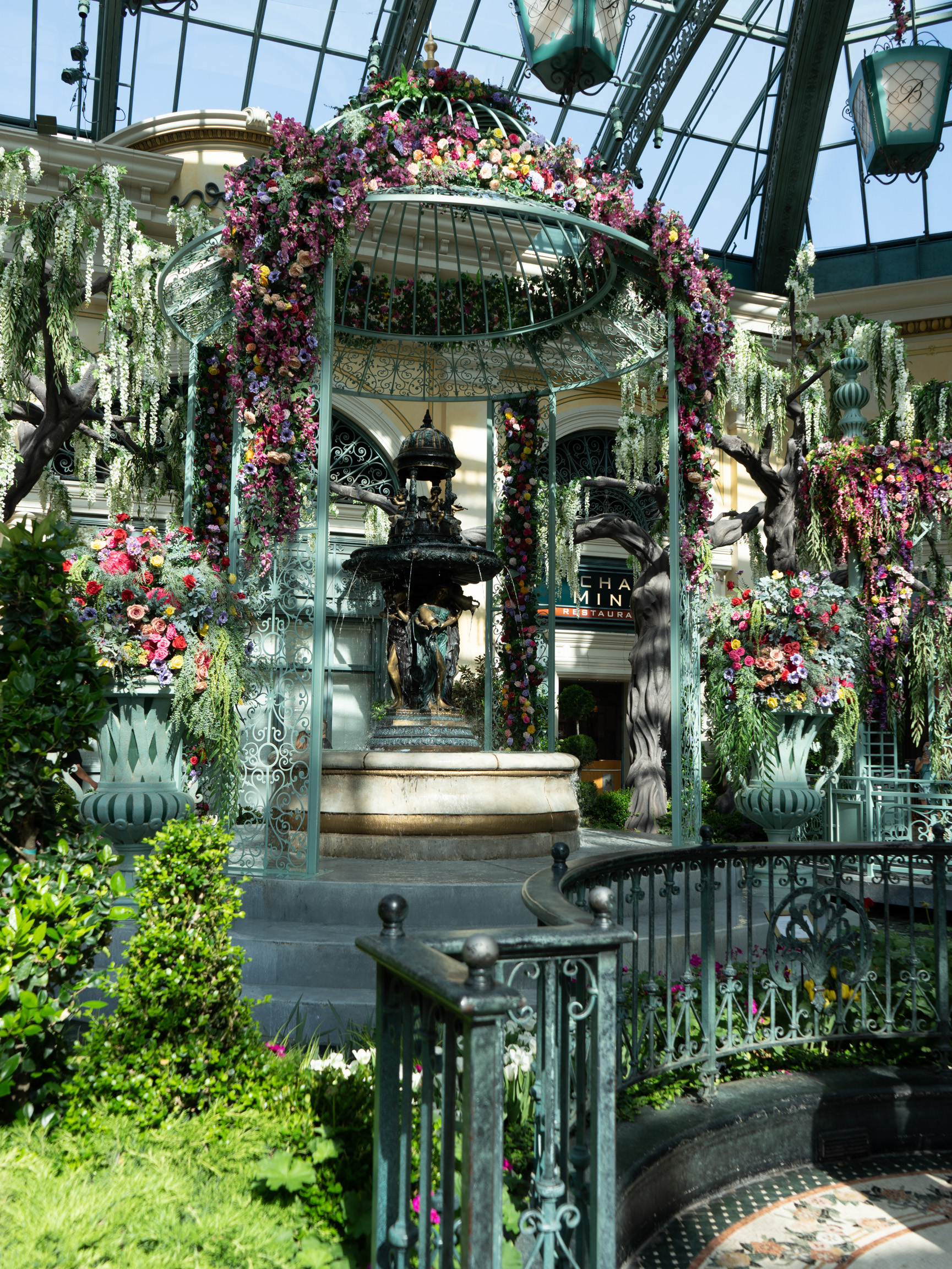 How to plan a trip to the Bellagio Conservatory!