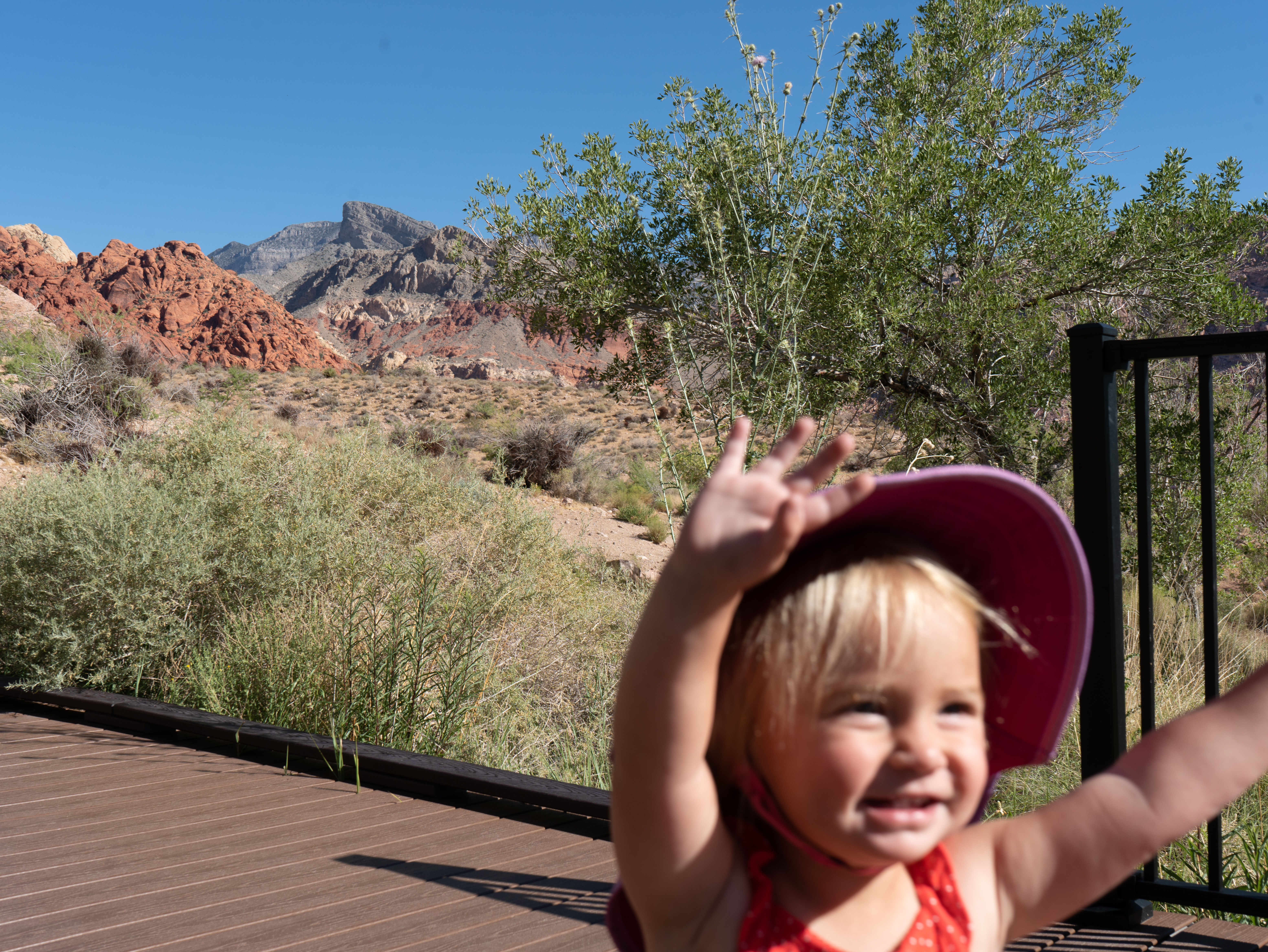 Greatest toddler and photography-friendly spot in Red Rock (Las Vegas)