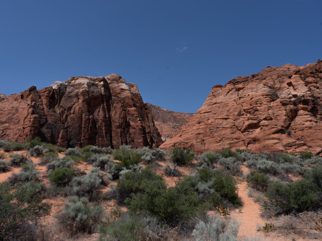 Five reasons you will love Snow Canyon State Park - ROSE FAMILY JOURNAL